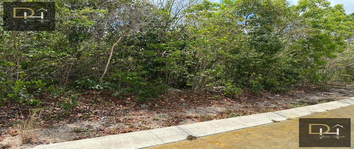 Foto de terreno habitacional en , vía cumbres residencial, benito juárez, quintana roo, 29924784 foto 02 Foto de terreno habitacional en venta en , vía cumbres residencial, benito juárez, quintana roo, 29924784 No. 02