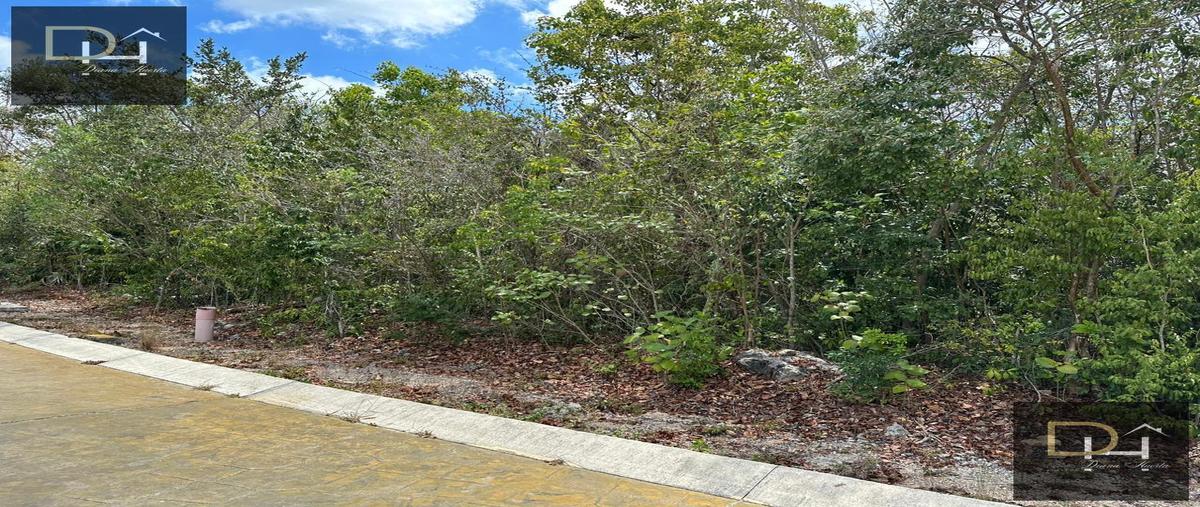 Foto de terreno habitacional en , vía cumbres residencial, benito juárez, quintana roo, 29924784 foto 03 Foto de terreno habitacional en venta en , vía cumbres residencial, benito juárez, quintana roo, 29924784 No. 03