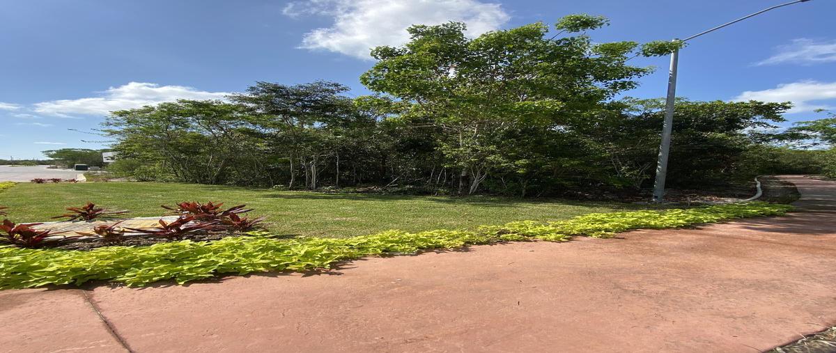 Foto de terreno habitacional en venta en  , vía cumbres residencial, benito juárez, quintana roo, 30552141 No. 05