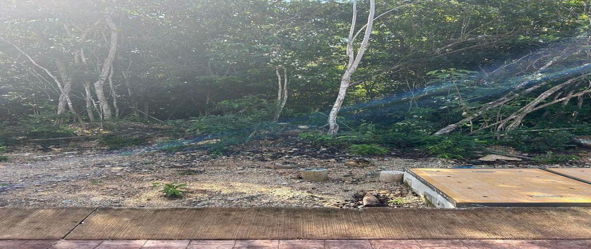 Foto de terreno habitacional en venta en  , vía cumbres residencial, benito juárez, quintana roo, 0 No. 03