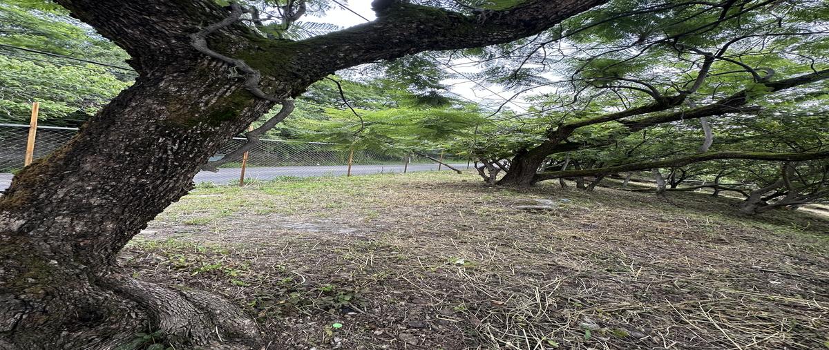 Foto de terreno habitacional en venta en vía láctea , rancho tetela, cuernavaca, morelos, 0 No. 04