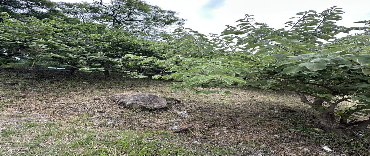 Foto de terreno habitacional en venta en vía láctea , rancho tetela, cuernavaca, morelos, 0 No. 05