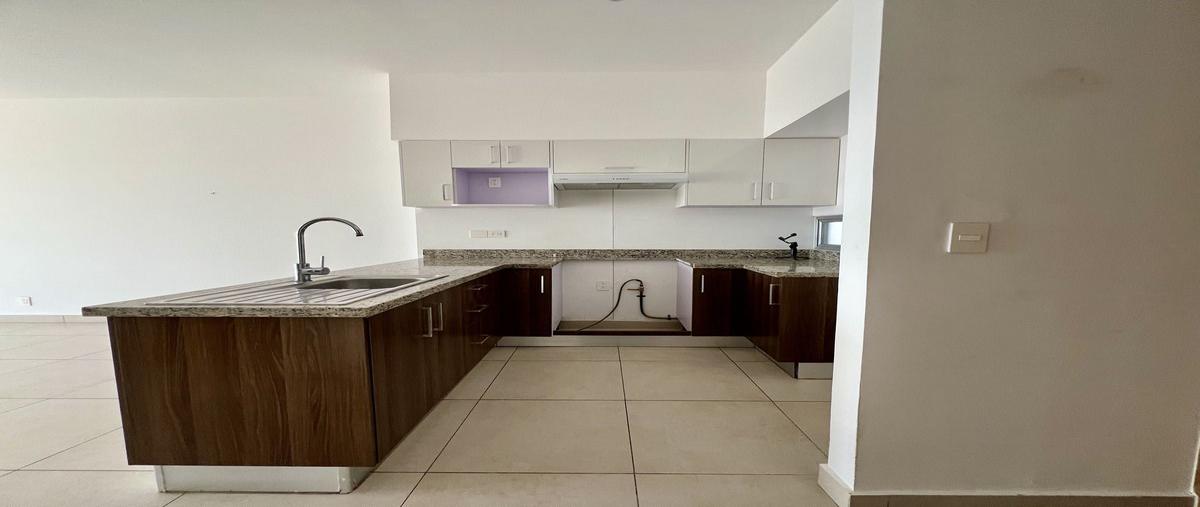 Foto de departamento en renta en  , vía montejo, mérida, yucatán, 0 No. 04