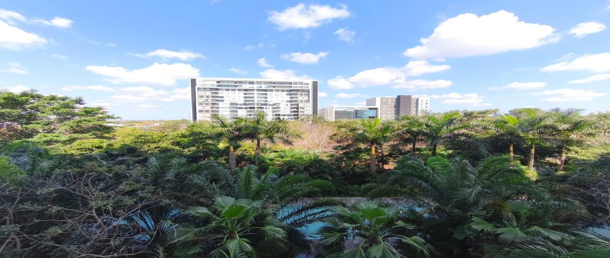 Foto de departamento en , vía montejo, mérida, yucatán, 0 foto 05 Foto de departamento en renta en , vía montejo, mérida, yucatán, 0 No. 05