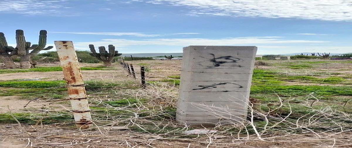 Foto de terreno habitacional en venta en víboras , la pitahaya, la paz, baja california sur, 0 No. 05