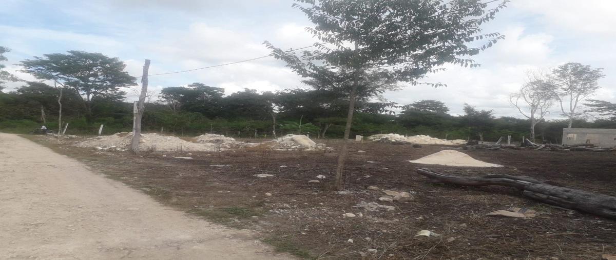 Foto de terreno habitacional en , vicente fox, escárcega, campeche, 27974077 foto 02 Foto de terreno habitacional en venta en , vicente fox, escárcega, campeche, 27974077 No. 02