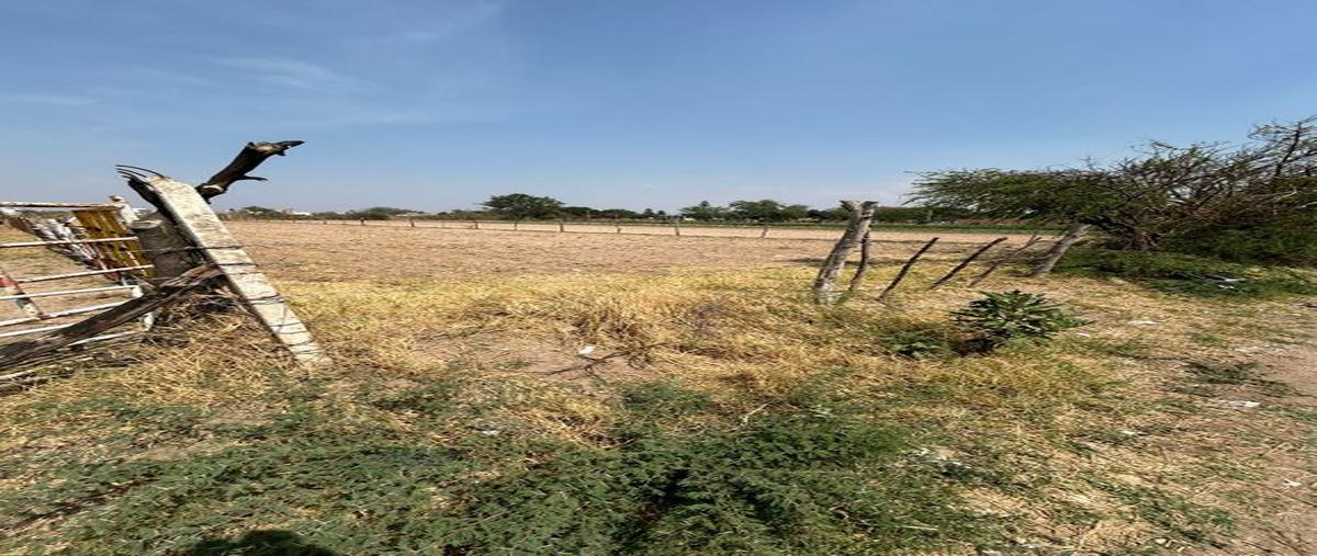 Foto de terreno habitacional en venta en vicente guerrero 119, coyula, tonalá, jalisco, 0 No. 05