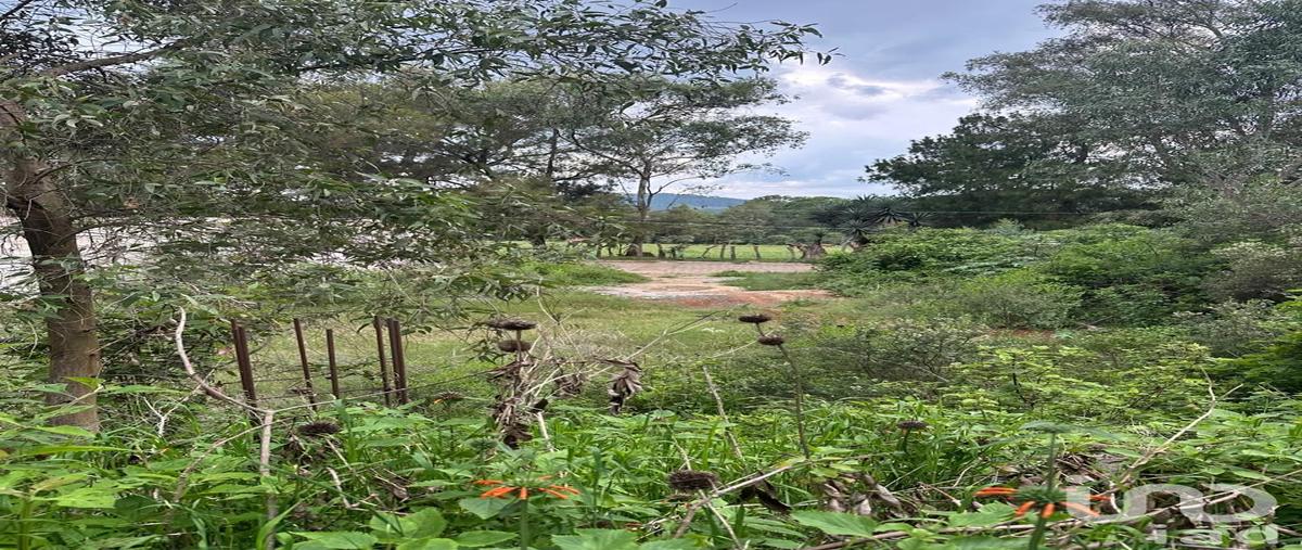 Foto de terreno comercial en venta en vicente guerrero 123, mazamitla, mazamitla, jalisco, 31550188 No. 03
