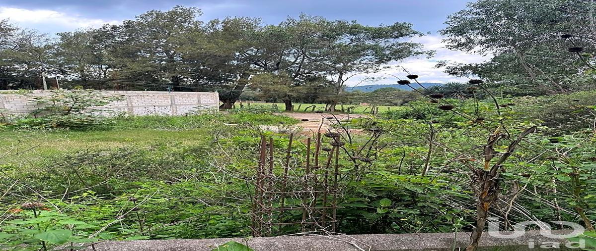 Foto de terreno comercial en venta en vicente guerrero 123, mazamitla, mazamitla, jalisco, 31550188 No. 04