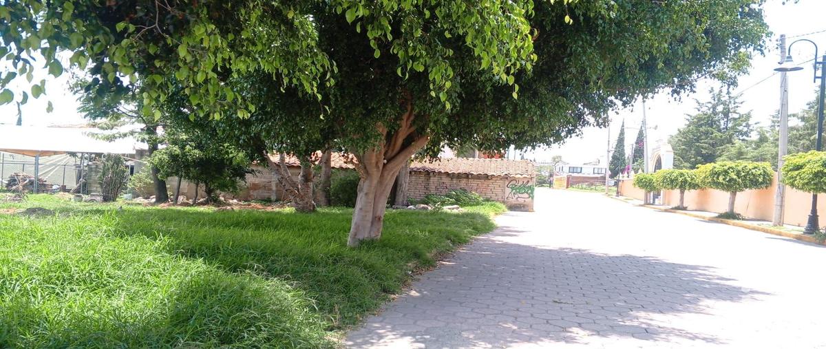 Foto de terreno habitacional en venta en vicente guerrero 214, san bernardino tlaxcalancingo, san andrés cholula, puebla, 30385682 No. 04