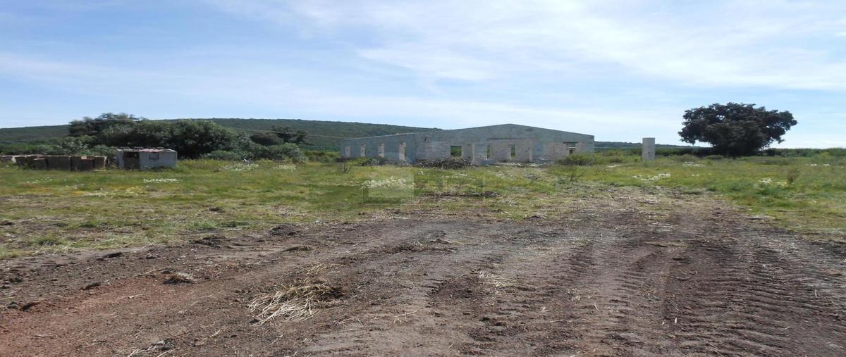 Foto de casa en venta en vicente guerrero 5, vicente guerrero (san javier), tolcayuca, hidalgo, 4538913 No. 04