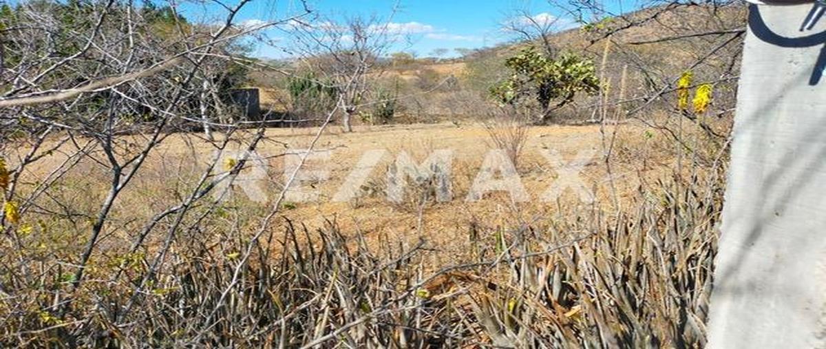 Foto de terreno habitacional en venta en vicente guerrero, acatlán de osorio , san cristóbal 1a secc, acatlán, puebla, 26234806 No. 03