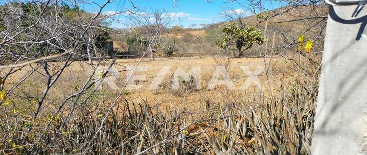 Foto de terreno habitacional en venta en vicente guerrero, acatlán de osorio , san cristóbal 1a secc, acatlán, puebla, 26234806 No. 04