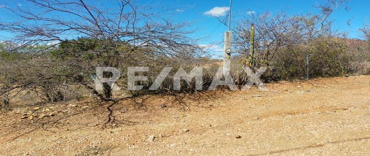 Foto de terreno habitacional en venta en vicente guerrero, acatlán de osorio , san cristóbal 1a secc, acatlán, puebla, 26234806 No. 05