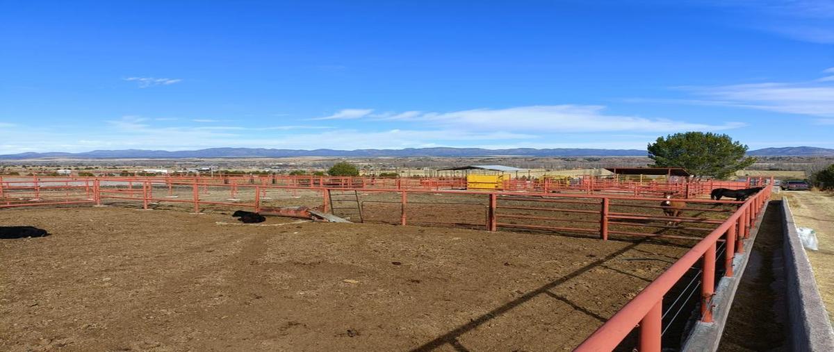 Foto de terreno habitacional en venta en  , vicente guerrero centro, guerrero, chihuahua, 23266925 No. 03