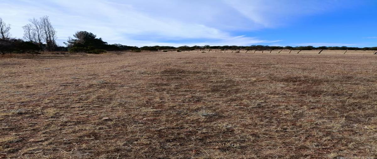 Foto de terreno habitacional en venta en  , vicente guerrero centro, guerrero, chihuahua, 23266925 No. 05