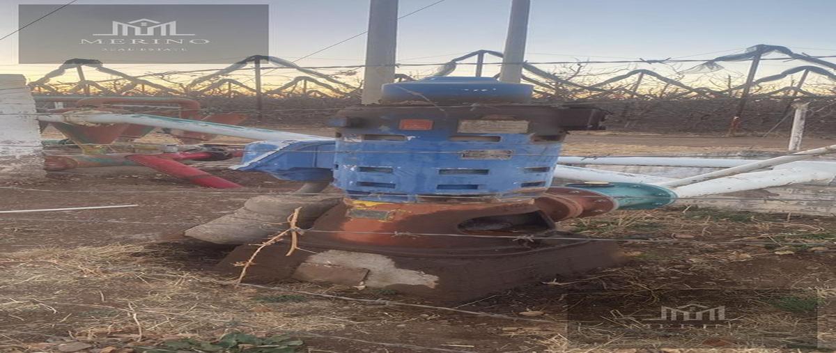 Foto de terreno comercial en venta en  , vicente guerrero centro, guerrero, chihuahua, 29876702 No. 04
