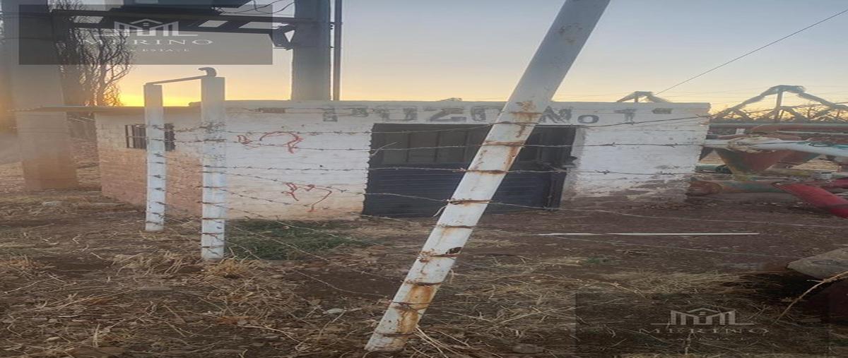 Foto de terreno comercial en venta en  , vicente guerrero centro, guerrero, chihuahua, 29876702 No. 05