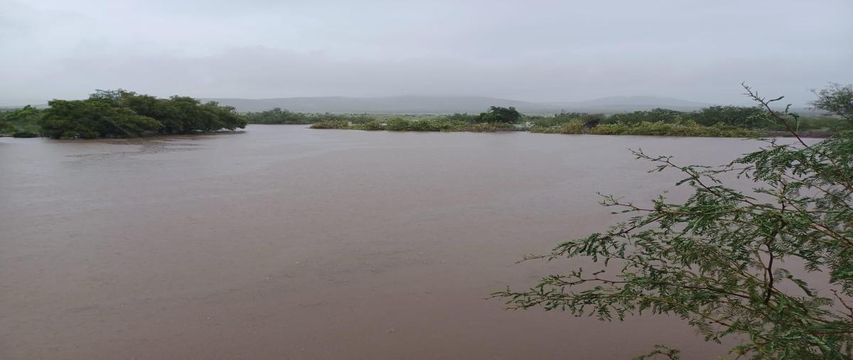 Foto de rancho en venta en  , vicente guerrero centro, guerrero, chihuahua, 0 No. 03