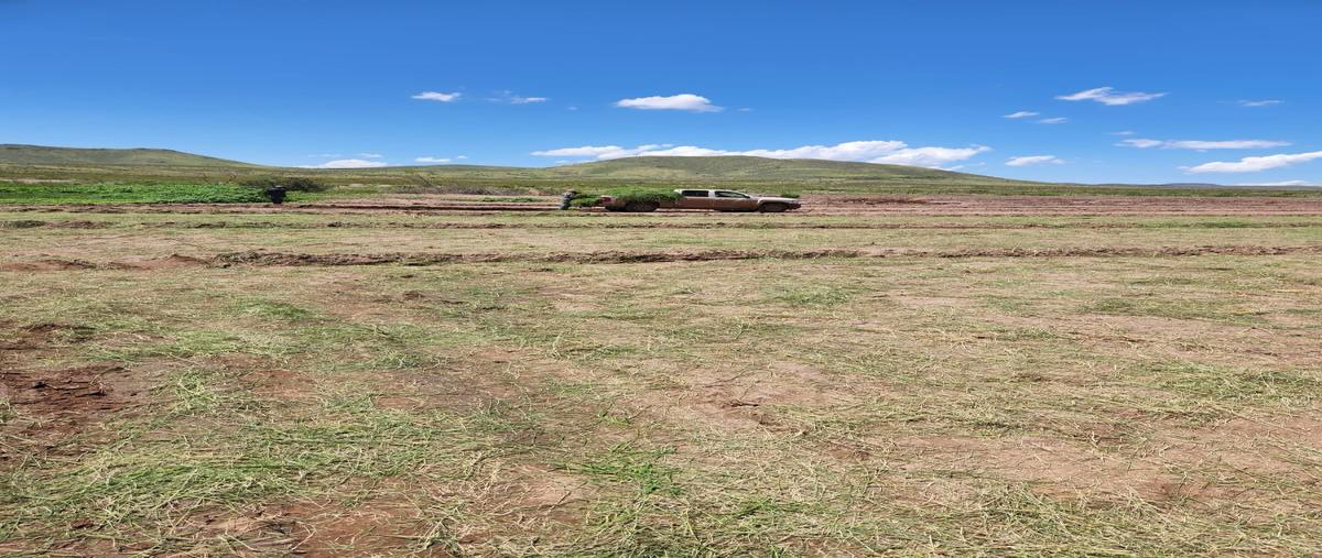 Foto de rancho en venta en  , vicente guerrero centro, guerrero, chihuahua, 0 No. 04