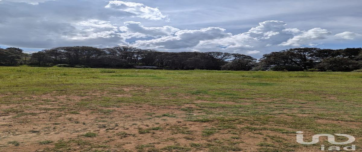 Foto de terreno habitacional en venta en vicente guerrero , cerro de los gallos, amealco de bonfil, querétaro, 30297117 No. 03