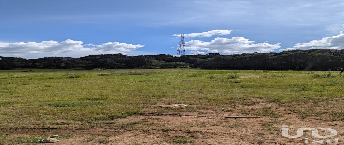 Foto de terreno habitacional en venta en vicente guerrero , cerro de los gallos, amealco de bonfil, querétaro, 30297117 No. 04
