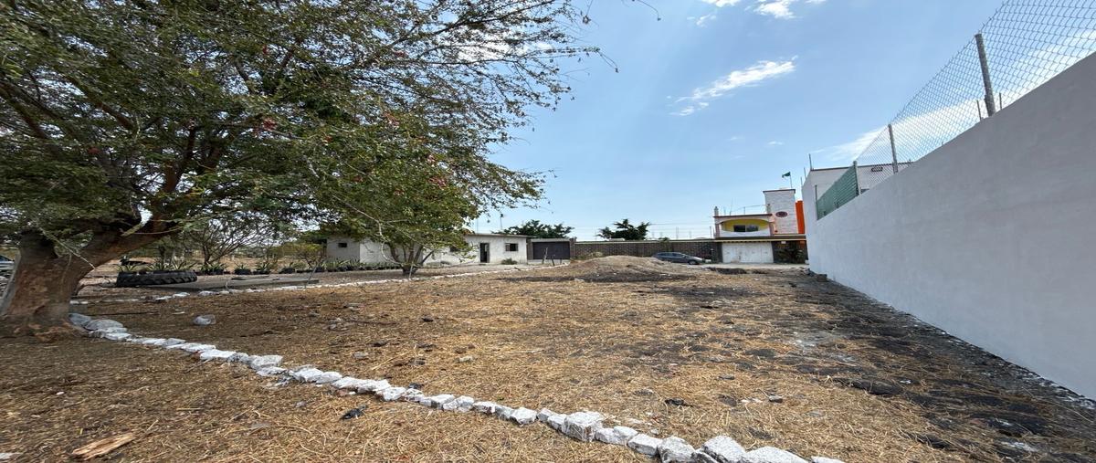 Foto de terreno habitacional en venta en  , vicente guerrero, cuautla, morelos, 0 No. 04