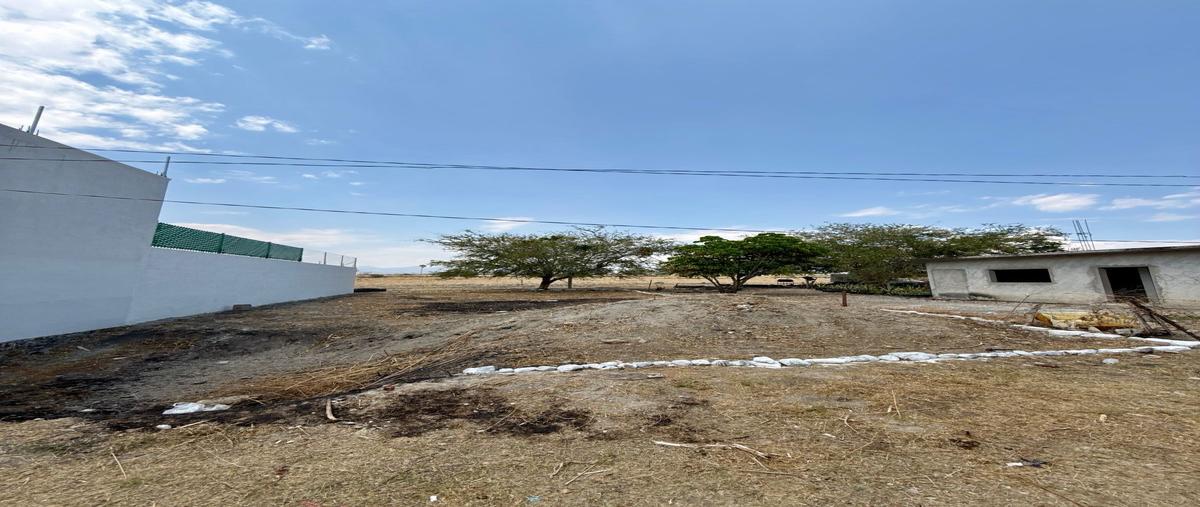 Foto de terreno habitacional en venta en  , vicente guerrero, cuautla, morelos, 0 No. 05