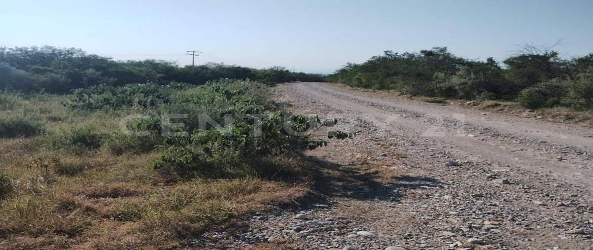 Foto de local en venta en  , vicente guerrero (el tablero), padilla, tamaulipas, 0 No. 03
