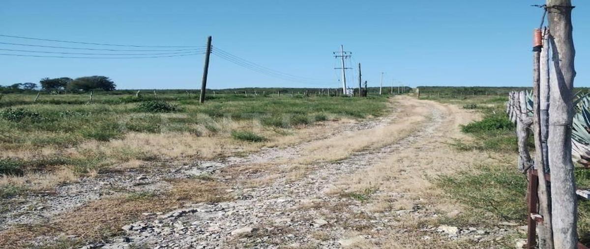 Foto de local en venta en  , vicente guerrero (el tablero), padilla, tamaulipas, 0 No. 04