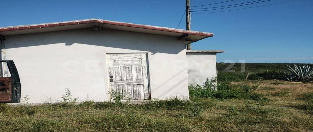 Foto de local en venta en  , vicente guerrero (el tablero), padilla, tamaulipas, 0 No. 05