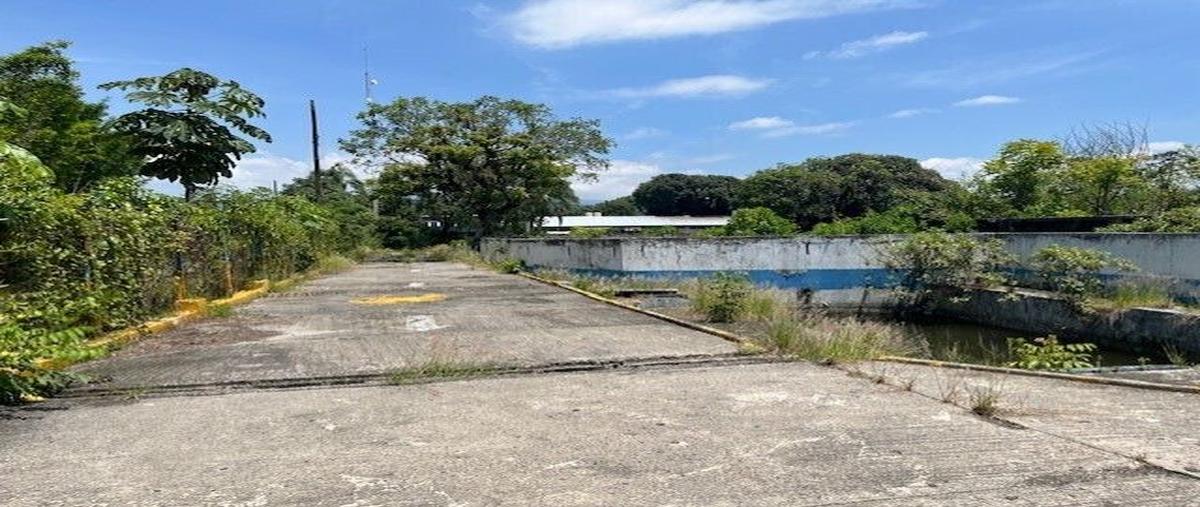 Foto de terreno habitacional en vicente guerrero , el tejar, amatlán de los reyes, veracruz de ignacio de la llave, 28545013 foto 05 Foto de terreno habitacional en venta en vicente guerrero , el tejar, amatlán de los reyes, veracruz de ignacio de la llave, 28545013 No. 05