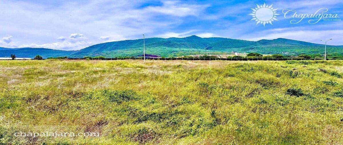 Foto de terreno habitacional en venta en vicente guerrero , jocotepec centro, jocotepec, jalisco, 0 No. 05