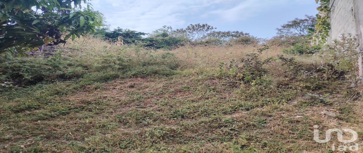 Foto de terreno habitacional en venta en vicente guerrero , lázaro cárdenas (el empalme), yautepec, morelos, 0 No. 03