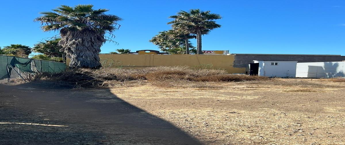 Foto de terreno habitacional en renta en vicente guerrero , machado sur, playas de rosarito, baja california, 28820141 No. 03