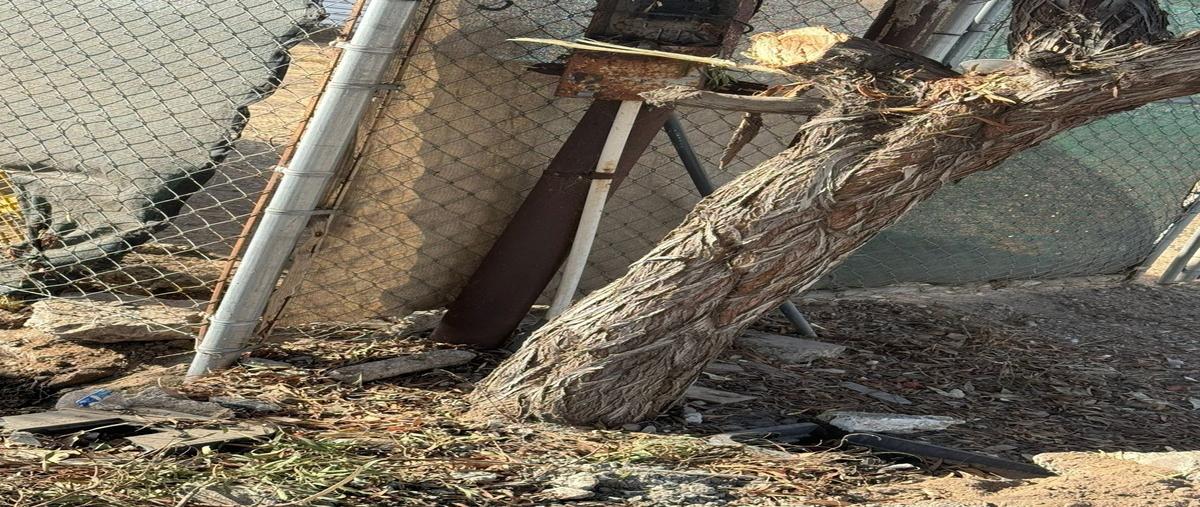 Foto de terreno habitacional en renta en vicente guerrero , machado sur, playas de rosarito, baja california, 28820141 No. 05