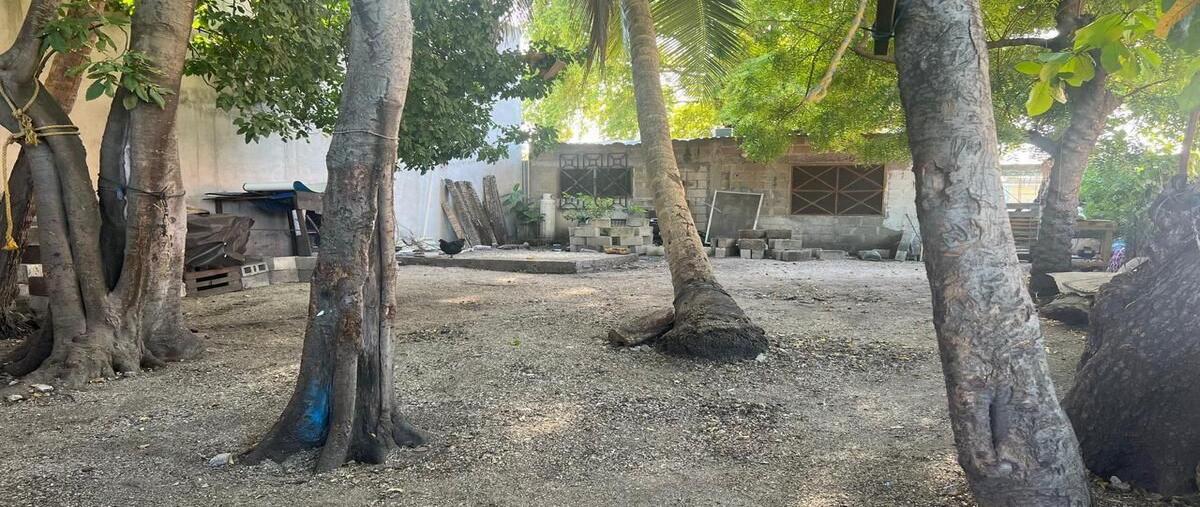 Foto de terreno habitacional en venta en vicente guerrero , manigua, carmen, campeche, 0 No. 03