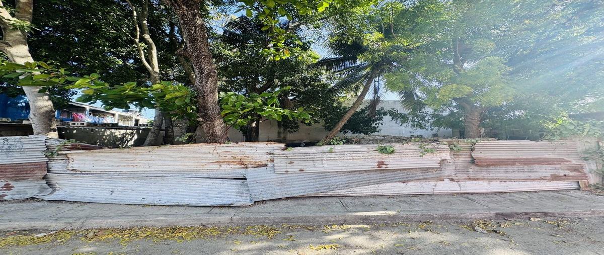 Foto de terreno habitacional en venta en vicente guerrero , manigua, carmen, campeche, 0 No. 04