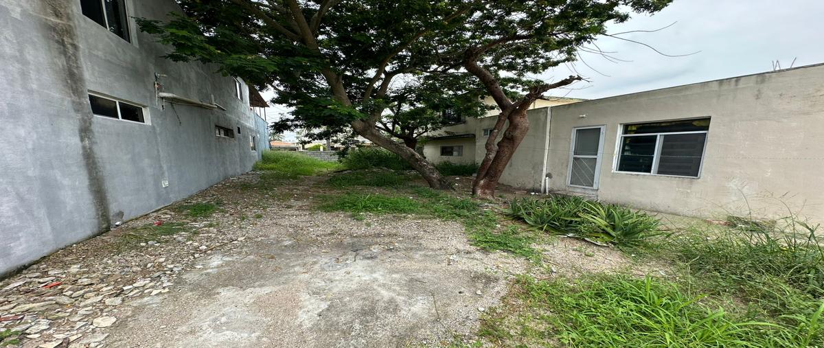 Foto de terreno habitacional en venta en vicente guerrero , miramar, ciudad madero, tamaulipas, 31520025 No. 03