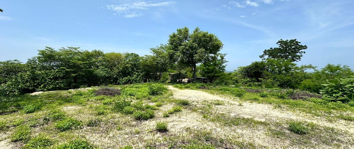 Foto de terreno habitacional en venta en  , vicente guerrero, santa maría huatulco, oaxaca, 0 No. 03