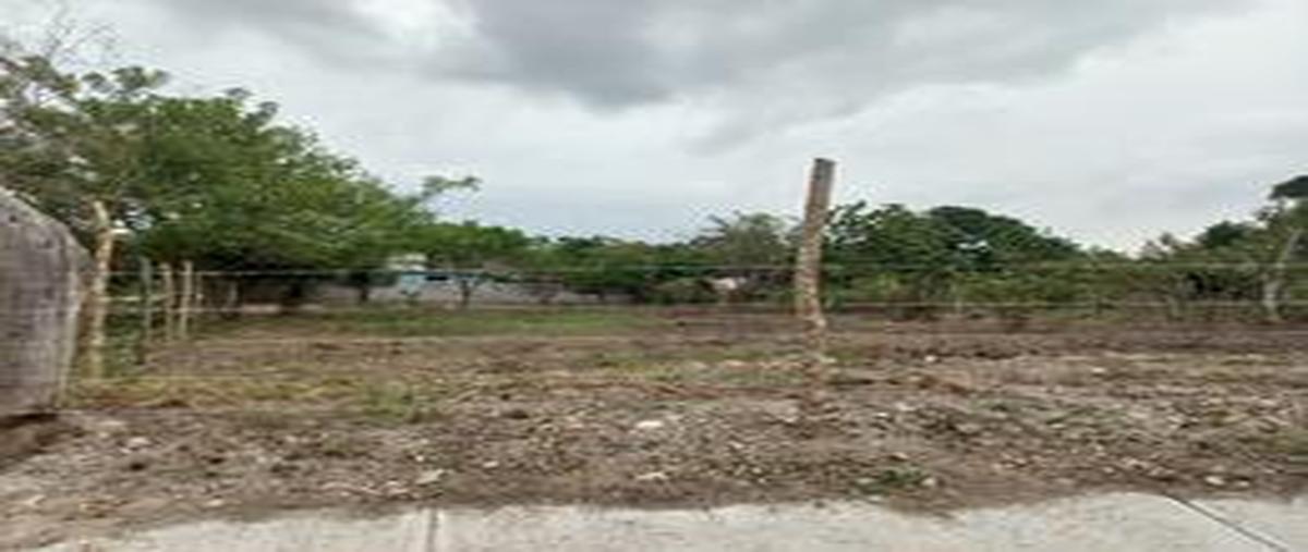 Foto de terreno habitacional en venta en vicente guerrero , tampico alto centro, tampico alto, veracruz de ignacio de la llave, 26962532 No. 03