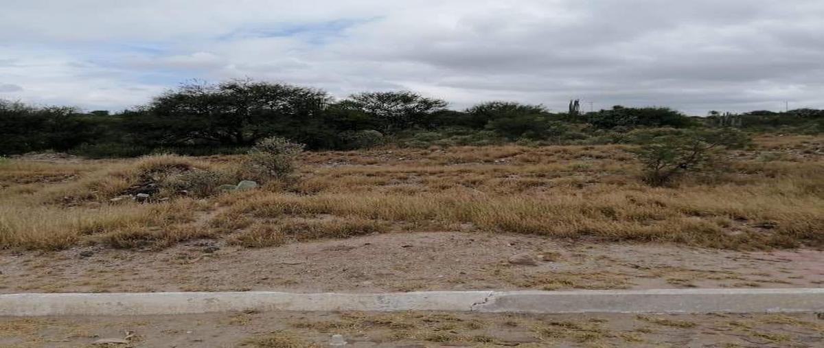 Foto de terreno habitacional en venta en  , vicente guerrero, tecozautla, hidalgo, 21615445 No. 03