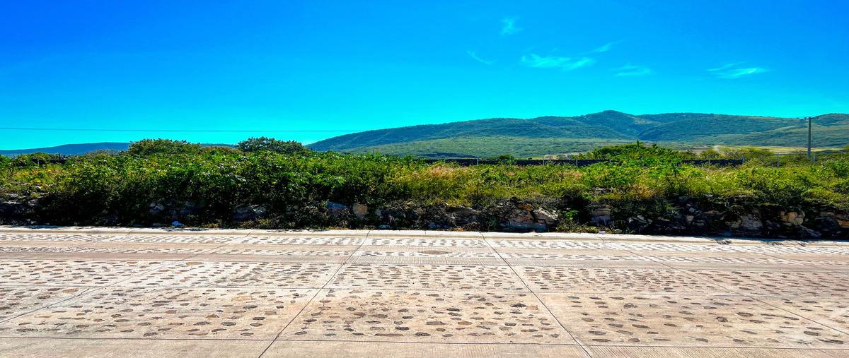 Foto de terreno habitacional en venta en vicente guerrero , tuxcueca, tuxcueca, jalisco, 30543837 No. 07