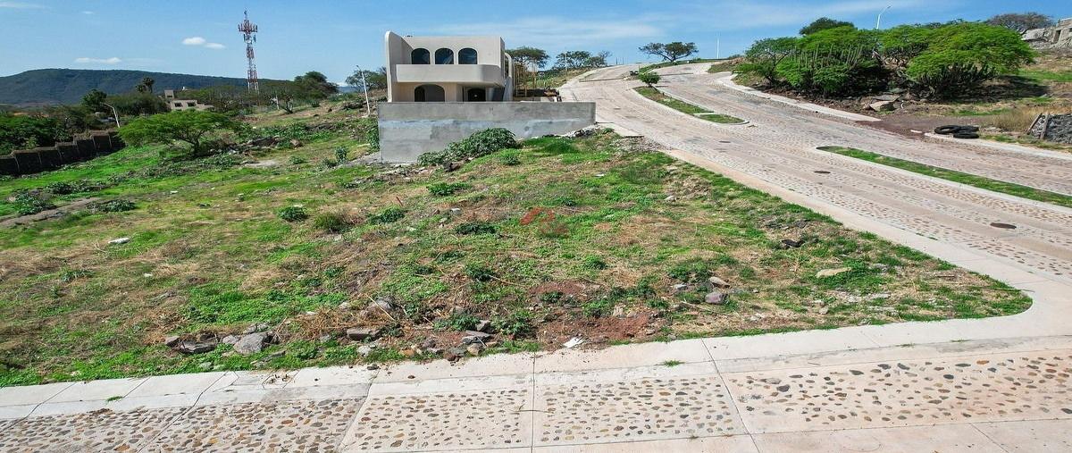 Foto de terreno habitacional en vicente guerrero , tuxcueca, tuxcueca, jalisco, 0 foto 05 Foto de terreno habitacional en venta en vicente guerrero , tuxcueca, tuxcueca, jalisco, 0 No. 05