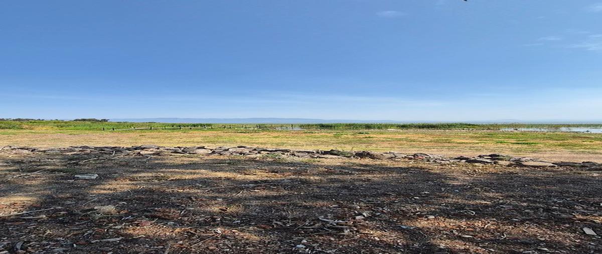 Foto de terreno habitacional en venta en vicente guerrero , tuxcueca, tuxcueca, jalisco, 0 No. 04
