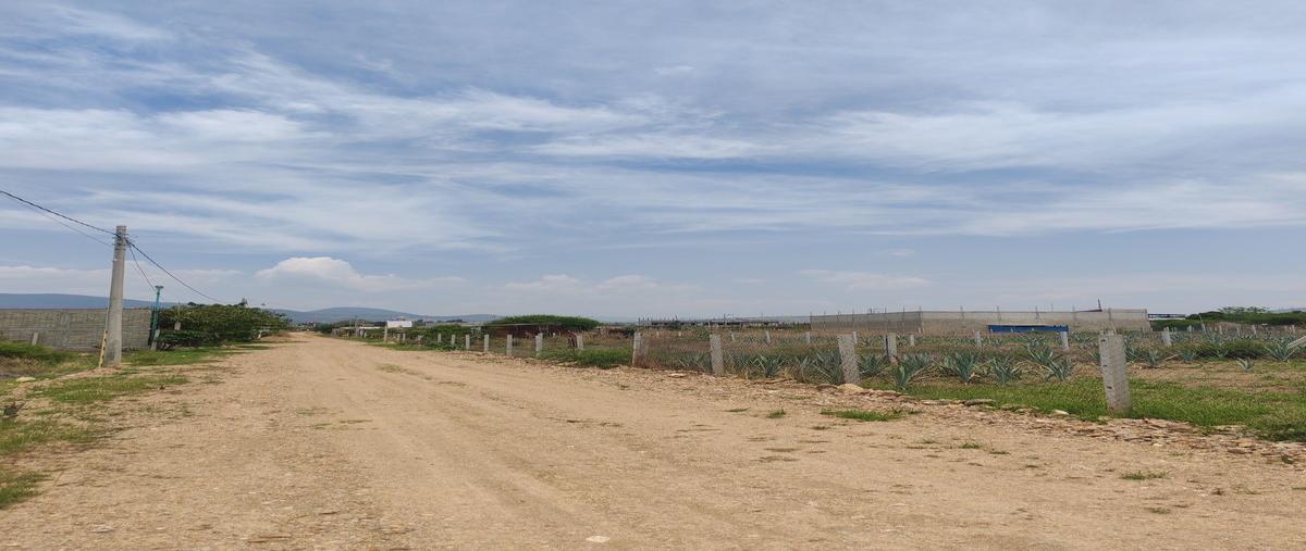 Foto de terreno habitacional en , vicente guerrero, villa de zaachila, oaxaca, 0 foto 01 Foto de terreno habitacional en venta en , vicente guerrero, villa de zaachila, oaxaca, 0 No. 01