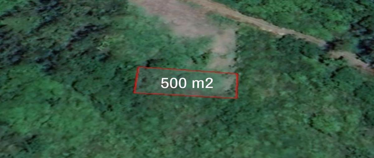 Foto de terreno habitacional en venta en  , vicente lópez, la antigua, veracruz de ignacio de la llave, 27776043 No. 04