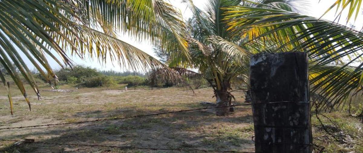 Foto de terreno habitacional en venta en  , vicente lópez, la antigua, veracruz de ignacio de la llave, 27776044 No. 03