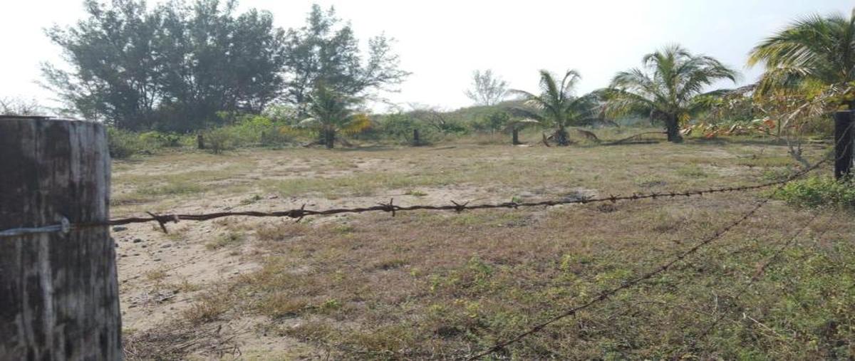 Foto de terreno habitacional en venta en  , vicente lópez, la antigua, veracruz de ignacio de la llave, 27776044 No. 05