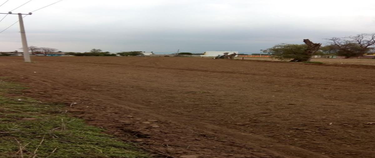 Foto de terreno habitacional en , vicente riva palacio, texcoco, méxico, 27519824 foto 01 Foto de terreno habitacional en renta en , vicente riva palacio, texcoco, méxico, 27519824 No. 01